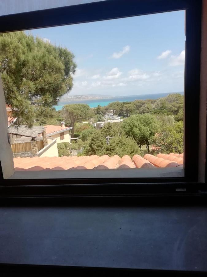 스틴티노 Sa Domo De Afra B&B 외부 사진